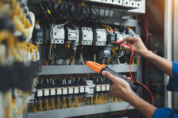 Best Electric Panel Repair  in Flatonia, TX